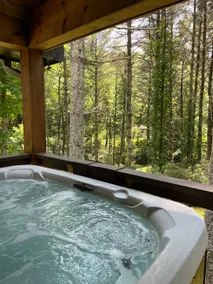 Relaxing Cashier’s Area Cabin w/ Hot Tub - Image 5