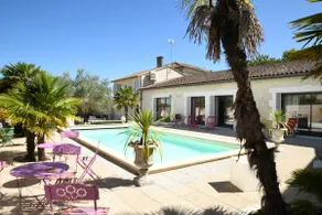 House with heated swimming pool and jacuzzi - Image 2