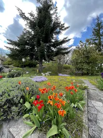 Mazzetti Country House – Countryside living and garden - Image 5