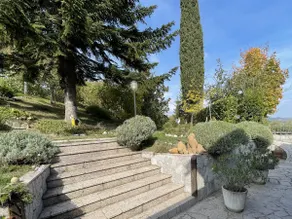 Mazzetti Country House – Countryside living and garden - Image 4