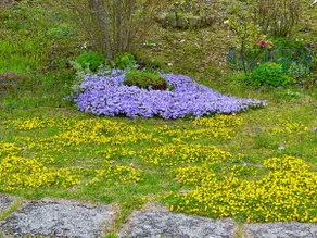 Mazzetti Country House – Countryside living and garden - Image 2