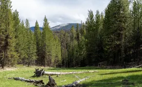 Off-grid Granite Creek Cabin - Image 3