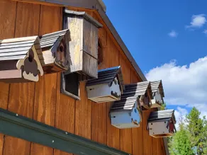 Off-grid Granite Creek Cabin - Image 5