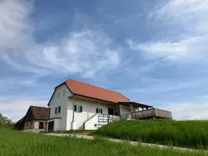 Baronigg Weingartengut - Image 2