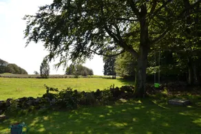 Cabin between beech forest and meadow - Image 3