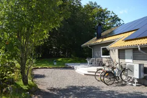 Cabin between beech forest and meadow - Image 2