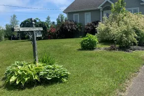 Quiet, peaceful house. - Image 3