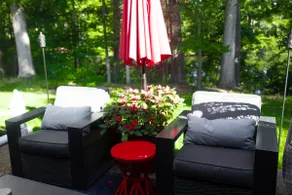 Country living in the City - Image 4