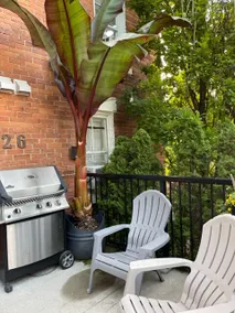 Drayton House Bachelor apartment - Image 3