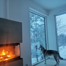 Cozy Coastal Stay w/ Terrace, Pizza & Dog-Friendly - Image 4