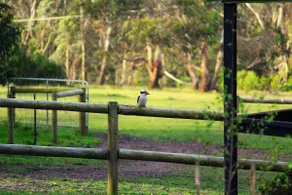 Escape to a serene countryside haven - Image 2