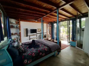 Glazed studio in a beautiful garden, Lanzarote - Image 2