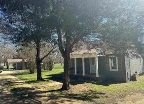 Pickwick Lake Bungalow near Papermill 7th NT Free! - Image 5