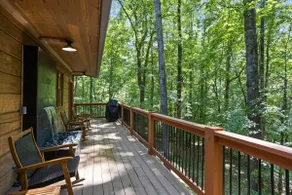 Travelers Rest Cabin- Stylish 5 BR Home on 8 Acres - Image 3