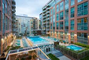 Sunlight Filled Luxury Penthouse - Image 2