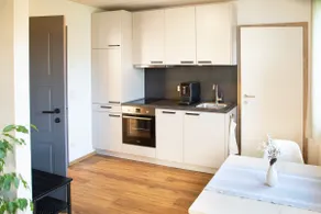 Moosaik Apartments - 1-bedroom apartment - Image 4