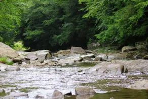 Creekside Sanctuaries Cabin #2 - Image 5