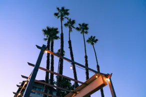 House of Palms - Image 5