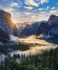 Privacy & Beauty Near Yosemite, Dog Friendly! - Image 4