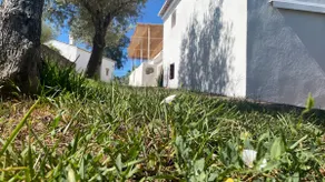 Beirã and Marvão Views, Peace in the Countryside - Image 3
