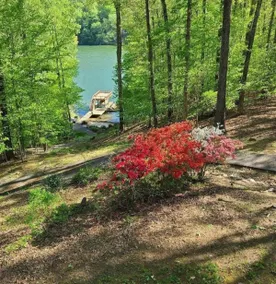 Serene Cabin, Dock, Beach, HotTub, FirePit, Kayak - Image 4