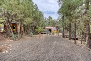 Bird’s Nest Forest Retreat - Image 4