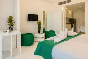 Newly renovated luxury studio - Image 4