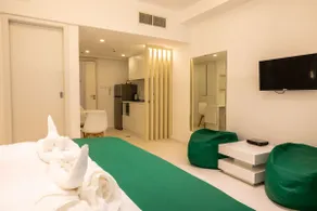 Newly renovated luxury studio - Image 5