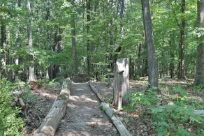 The New Paltz Moondance Ridge - Image 4