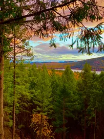 Big Mountain Treehouse! - Image 3