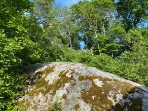 Cabin with proximity to nature - Image 3