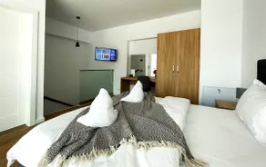 Sinaia Walter 20 Penthouse w Paid Pool and Free Parking - Image 2
