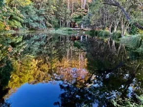 The Lakehouse - Image 4