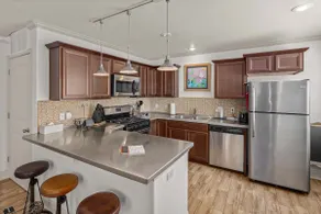 Off Dickson Downtown Bright Open Ground Floor Apt - Image 3