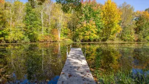 Hidden Haven on Lake Holcombe - Image 5