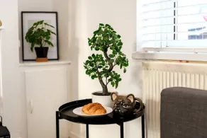 Asher Suite - Cozy 2BR Home with Parking & WIFI - Image 4