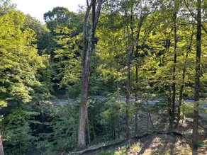 Thoroughbred & Saratoga Lake views - Image 5