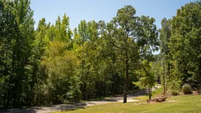 Timothys Timber Haven - Image 5