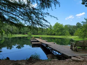Country House on Cypress Pond - 55 Acres - Image 5