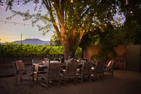 Sonoma Vineyard Home & Cottage | Walk to Wineries - Image 5