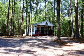 The Owl's Nest - Image 2