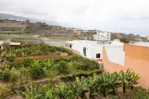 Live Icod Buen Paso house with terrace and barbecue - Image 3