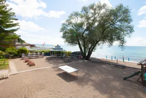 Oasis on the beach - Image 4