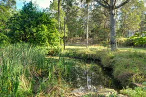 Art Studio by the Creek - Image 3