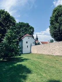 House in the walls - Image 3