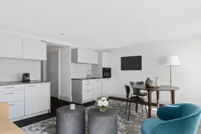 Zurich Downtown Luxury Apartment - Image 2