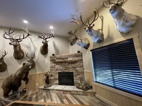 SPORTSMAN'S PARADISE - Image 2