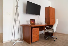 Great apartment with garage - Image 4