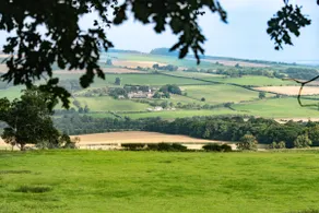 The Kennels - Image 3
