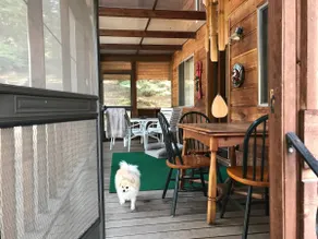 Whispering Pines Cabin Retreat - Image 2